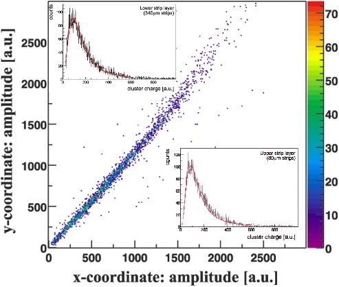 Charge Correlation