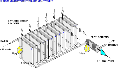 msgc setup